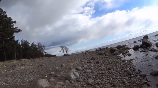 Прогулка по берегу Финского залива в Курортном районе Санкт-Петербурга 23.03.2020 г. смотреть онлайн