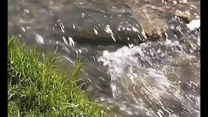 Актюба 2006 год