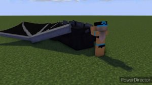 Minecraft Ender Dragon Vore