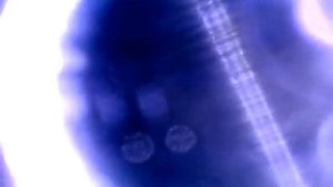 осмотр полости цилиндра при помощи эндоскопа