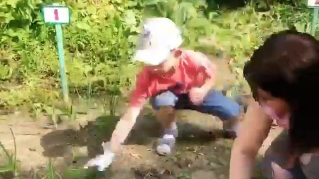 Огород наш ,огород! смотреть онлайн