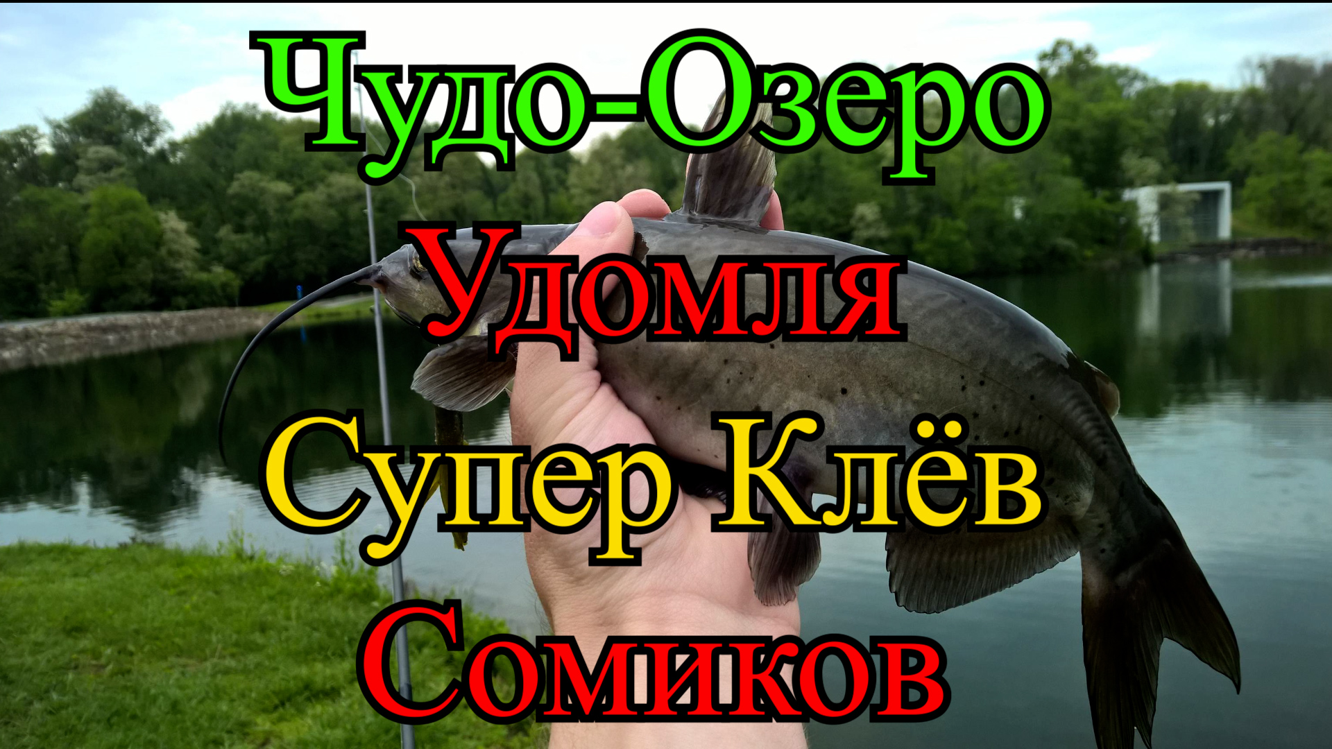 Чудо-Озеро Удомля. Супер клёв сомиков. Давно Я так не ловил смотреть онлайн