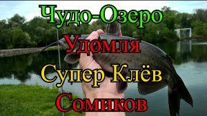 Чудо-Озеро Удомля. Супер клёв сомиков. Давно Я так не ловил