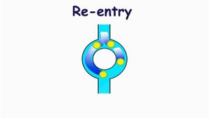Re-entry mechanism of tachyarrhythmias