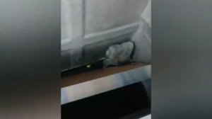 НАВЕСНОЙ БАГАЖНИК БОКС РЮКЗАК НА МИКРОАВТОБУС