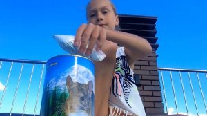 Как использовать песок для шиншил