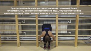Тренировка пловцов на суше. Сила и гибкость. ОФП для пловцов