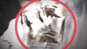 базы нло в Арктике