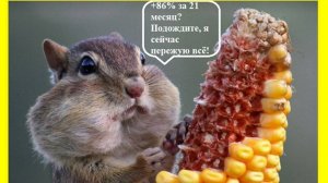 Как мне удалось достичь +86% прибыли на акциях "Газпром нефть" за 21 месяц?