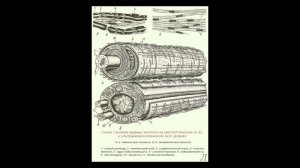 3.6 Параметры нервной системы. Миелиновая оболочка