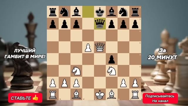 ВЕНСКАЯ ПАРТИЯ! ЛУЧШИЙ ДЕБЮТ В МИРЕ! +100 пунктов рейтинга! смотреть онлайн