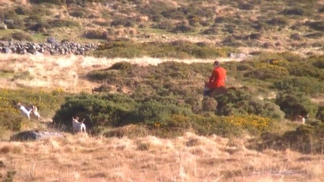 Dartmoor 3 Days Camping with 8 Items смотреть онлайн