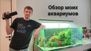 Обзор домашних аквариумов