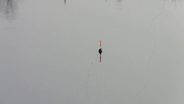 Положил ПОПЛАВОК у сухого КАМЫША ! смотреть онлайн