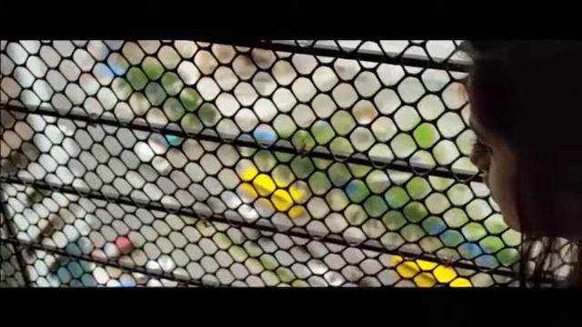 Coming soon new movie adult смотреть онлайн