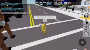 как сделать баг в брукхейвен