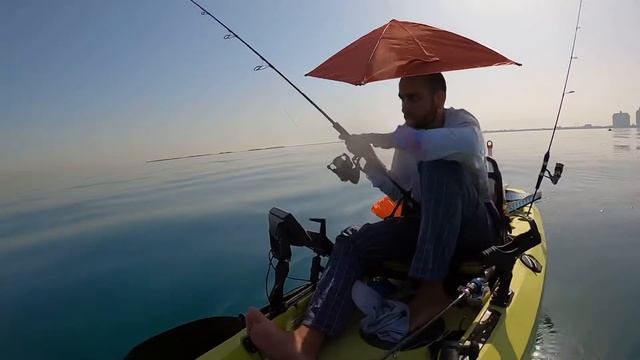 Dubai Kayak Fishing - Spinner Shark on live bait cut my steel wire смотреть онлайн
