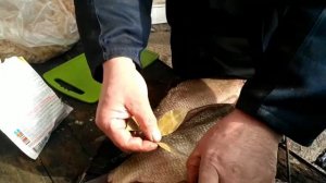 Коптим леща ч.2