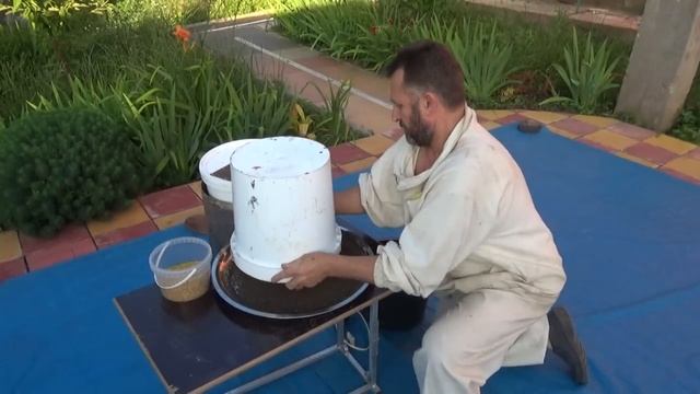 Инкубатор для восковой моли. Продукт жизнедеятельности личинки восковой моли (1).mp4 смотреть онлайн