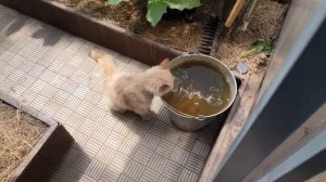 5 дней назад. Дела, делишки...