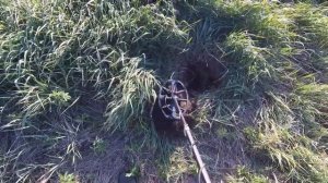 Коп монет 2020год.Minelab Ванквиш 540.Более старое урочище.Масон .Search for coins!Vanquish540.