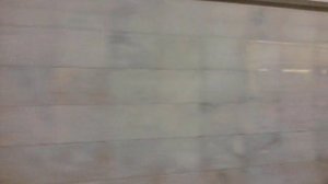 Перегон Цветной бульвар – Боровицкая