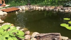 Рыбалка в своём пруду ?