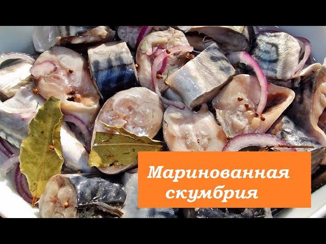 Вкуснейшая Малосольная скумбрия за 5 минут смотреть онлайн