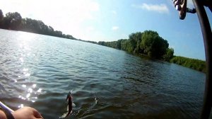 Рыбалка троллингом на Москва реке. Воскресенск июль 2023