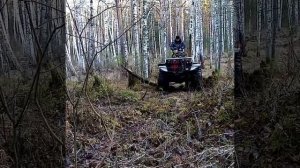 Заброшеный паровоз в тайге трансиба.