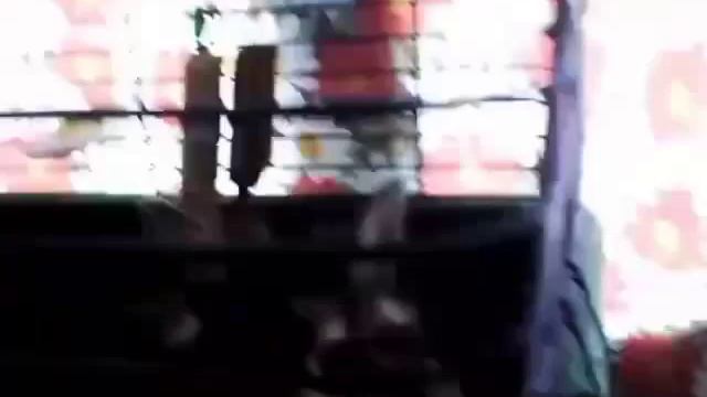 Что нужно для приезда кролика в дом? смотреть онлайн