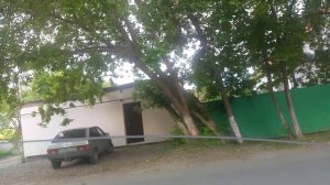 Инспектора ДПС проверяют документы на основании _Проверка документов_