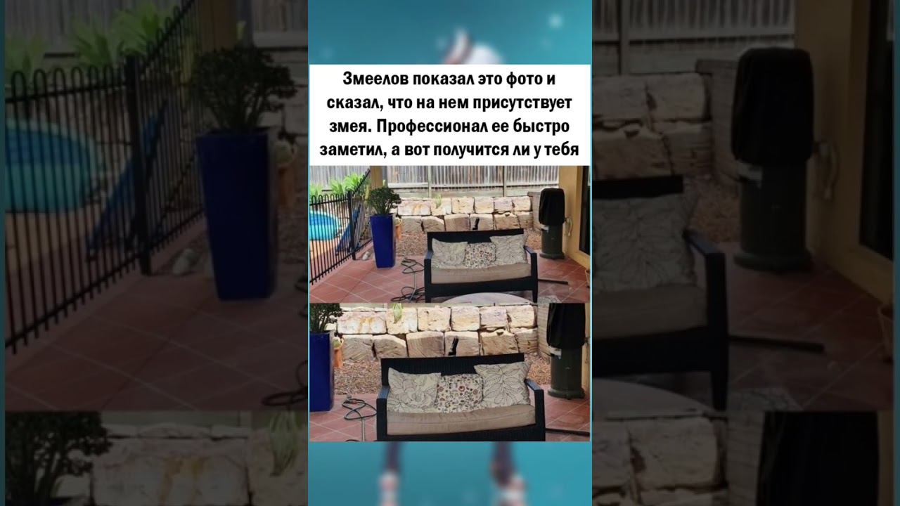 #юмор #актив #позитив #поззи #приколы #доброеутро #добрыйвечер #meme #добрыйдень