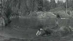 "Андрей Мартынов" 1972' "А зори здесь тихие"