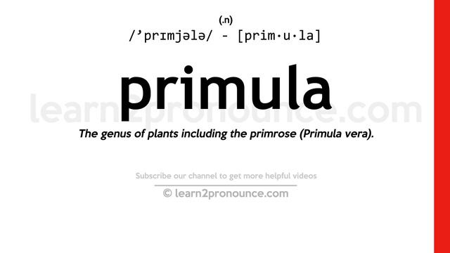 Pronunciation of Primula | Definition of Primula смотреть онлайн