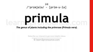 Pronunciation of Primula | Definition of Primula