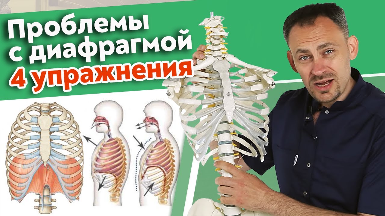 Клавикулярное дыхание. Тазовая диафрагма при дыхании. Диафрагменное дыхание как научиться видео. Массаж диафрагмы. Массаж диафрагмы живота.