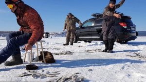 Тегиль. Рыбалка в Де-Кастри. 50 кг корюшки за день.