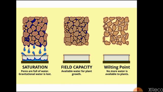 Soil Plant Water Relationship Part-I by Dr A. Qureshi #Green_Space #SPAC #Soil_Water_Classification смотреть онлайн