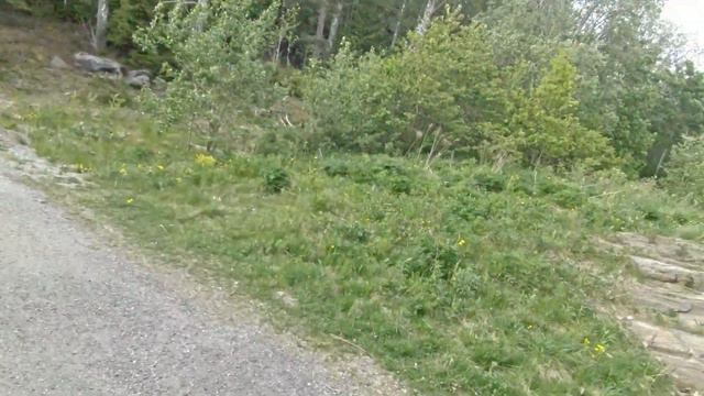 24 May 2023 A bit of dirt jumping and ride around Romsåsen смотреть онлайн