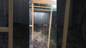 вольер для фазанов и кекликов 6 на 3