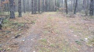 ✅?Тест ПЕТАРД | Взрываем Петарды | римские свечи| корсар 8, р23, корсары?Связка из Петард и Бомбоче
