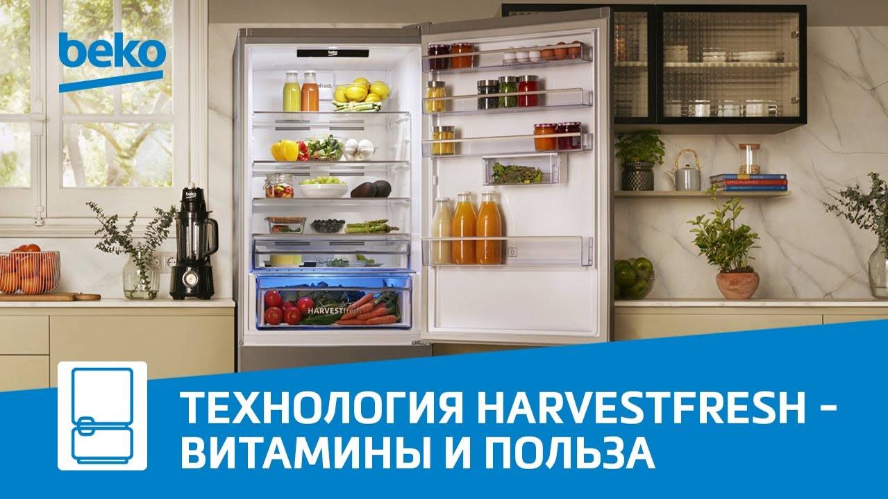 Холодильники Beko с технологией Harvest Fresh - всегда свежие фрукты и овощи