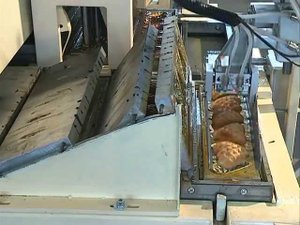 АЛПК-2 - Автоматическая линия для производства кондитерских изделий с начинкой и без неё