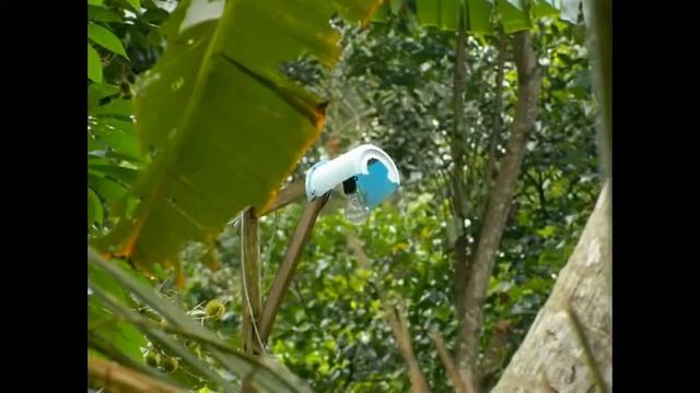 Nikon Coolpix L310 Photo Close Up Test смотреть онлайн