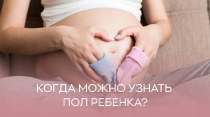 🤰 Когда можно узнать пол ребенка?