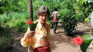 Занзибар. Сад специй. Экскурсии на Занзибаре: что посмотреть. Дегустация фруктов. Коронация. #9