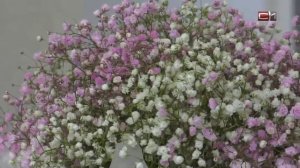 Флорист из Сургута рассказала о букетах, которые впечатлят девушку