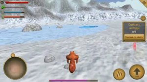 Белка летяга зимой