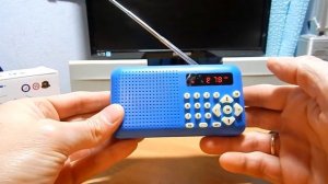Цифровой радиоприемник USB и SD MP 3 с мощным аккумулятором.